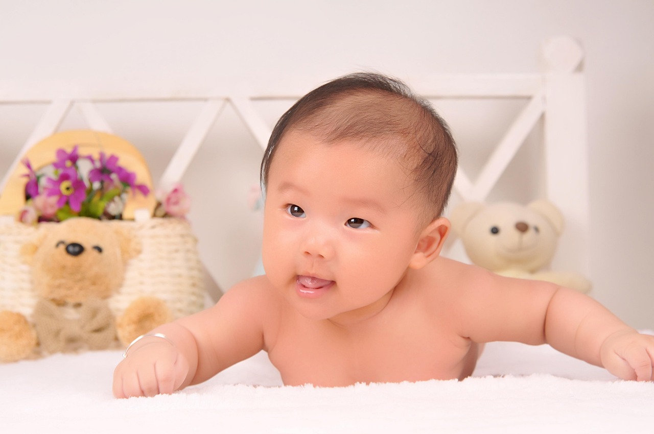 【小孩的故事书《小狗的小房子》/小孩的故事书小狗的小房子在线阅读】 【小孩的故事书《小狗的小房子》/小孩的故事书小狗的小房子在线阅读】