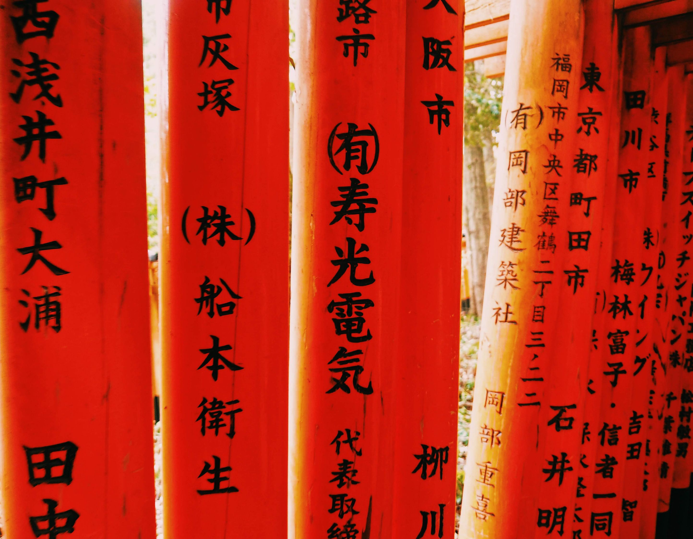 【书法文化常识/书法文化常识考试题】
