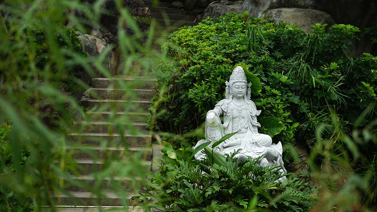 植物界的活化石有哪些（中国八大活化石植物讲解）.我国植物界的活化石