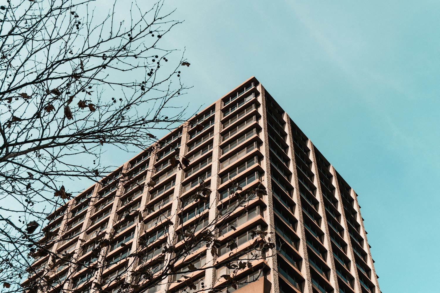绿色建筑节能技术发展研究？,绿色建筑节能技术案例分析