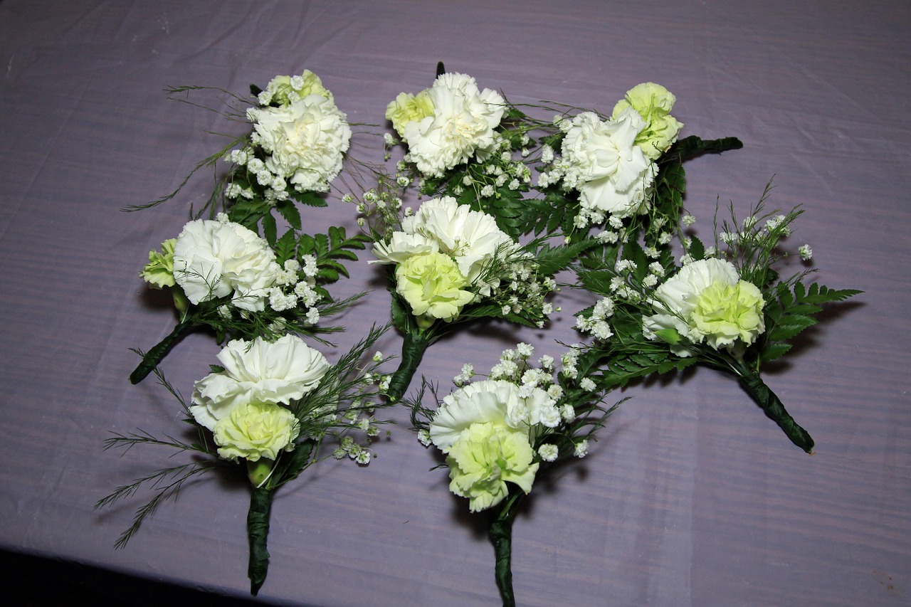 【鲜花寓意大全/鲜花寓意象征大全】 【鲜花寓意大全/鲜花寓意象征大全】