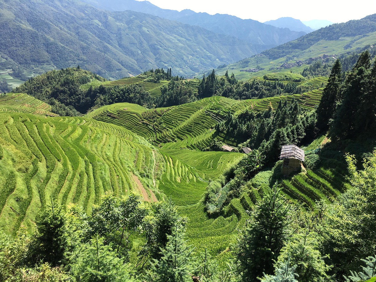 生态旅游景区规划及资源保护开发途径〃保护区生态旅游价值
