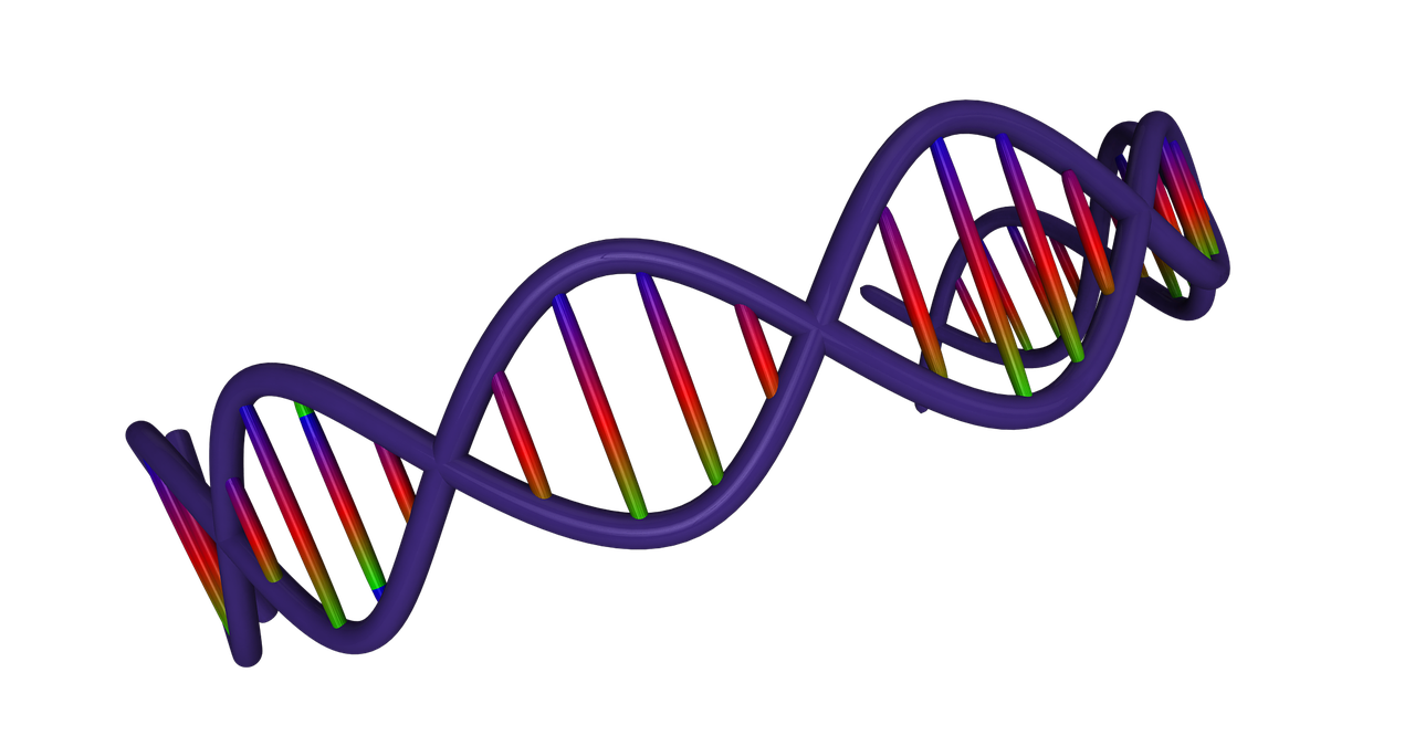 生物通过遗传变异和什么不断进化-第二章 生物的遗传与变异 生物通过遗传变异和什么不断进化-第二章 生物的遗传与变异