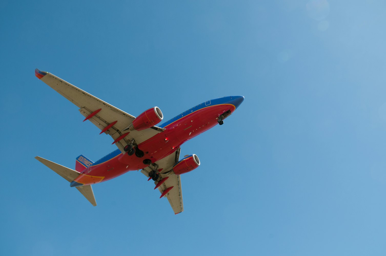 「允许带宠物上飞机的航空公司」〃允许宠物上飞机国家