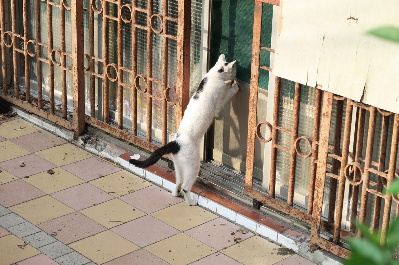 那十种东西不能送人.哪些东西不能送人有关风水 那十种东西不能送人.哪些东西不能送人有关风水