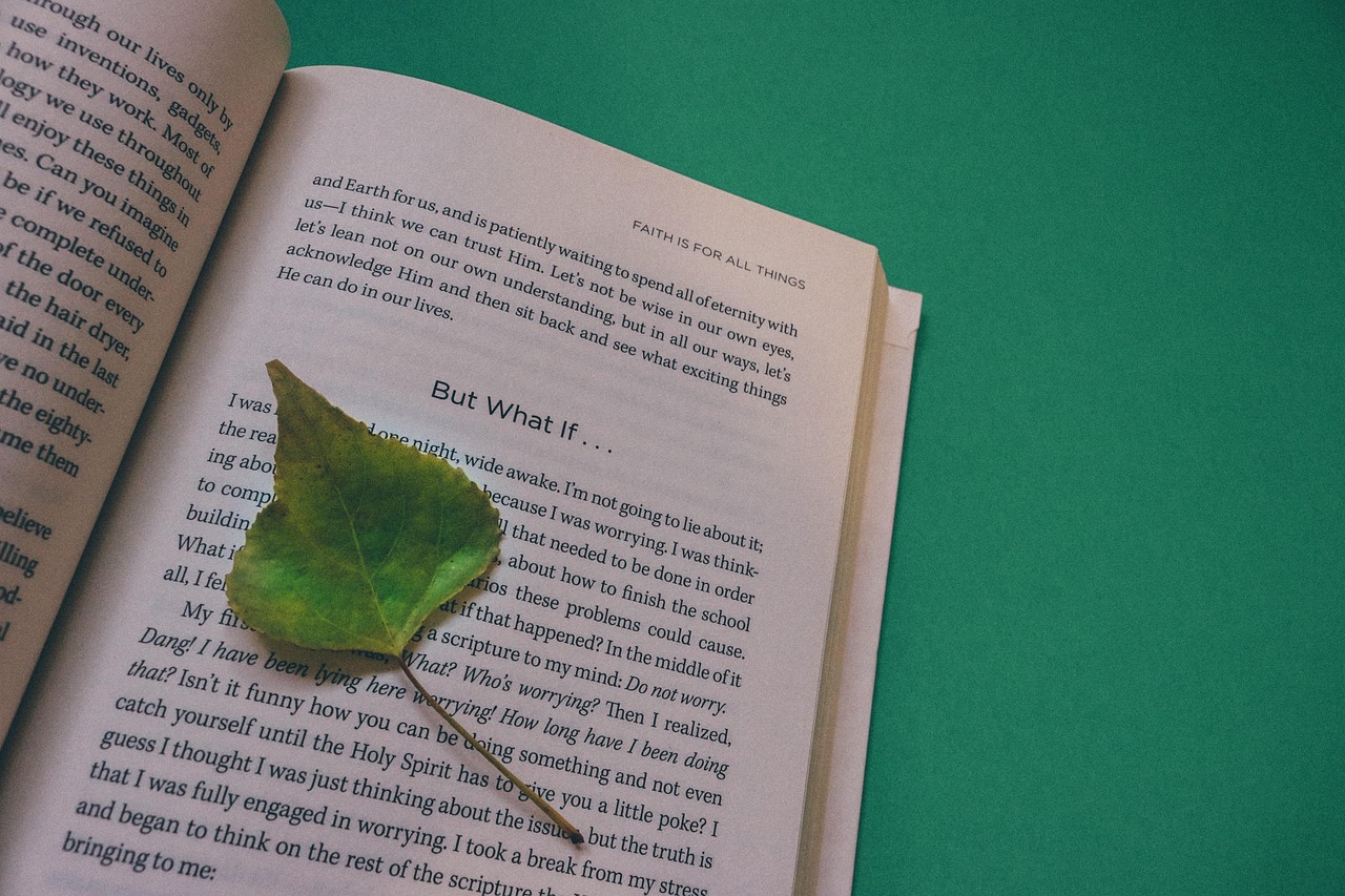 初一上册历史必考知识点归纳,初一上册历史必考重点