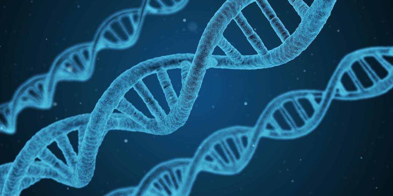 高中生物遗传物质知识点_1,高中生物遗传的基本规律知识点 高中生物遗传物质知识点_1,高中生物遗传的基本规律知识点