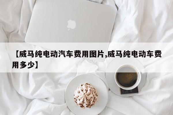 【威马纯电动汽车费用图片,威马纯电动车费用多少】